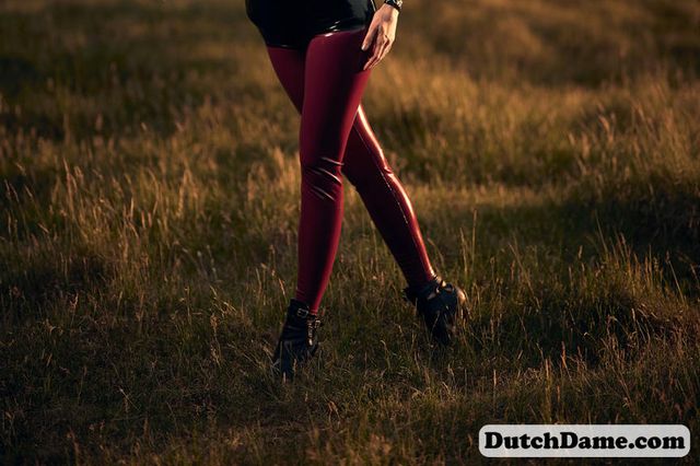 Ferry Knijn: the Collection